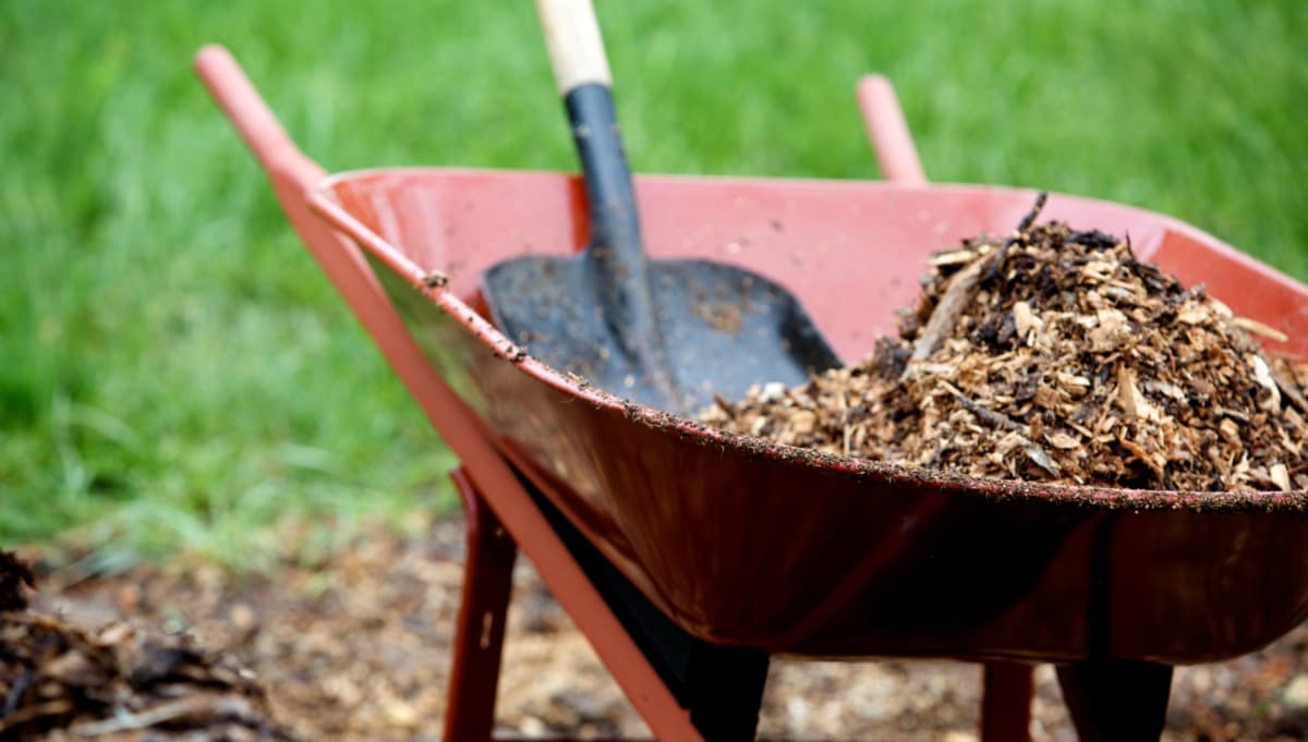 Superior Landscape Management
