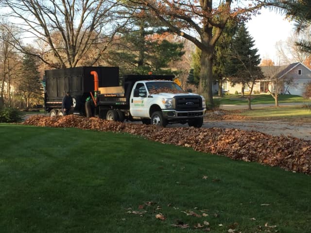 Lawn maintenance
